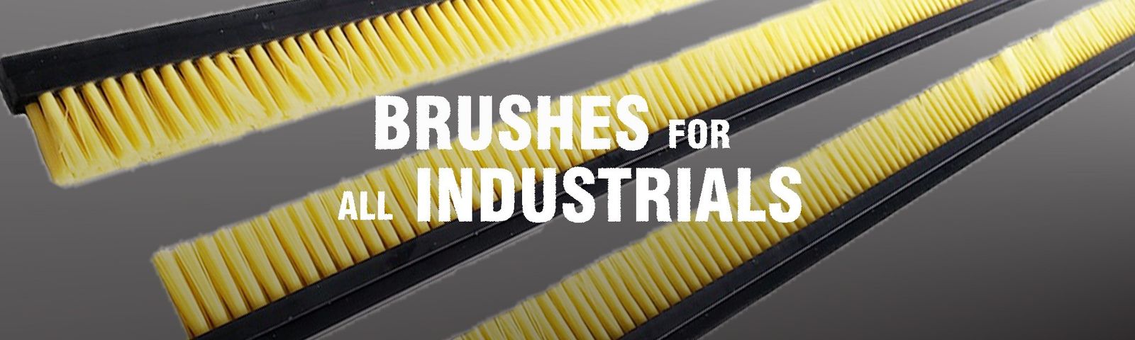 Industrial Brush Strip