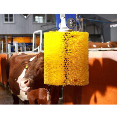 ODM Body Massage Scratch Automatic Cow Brush Swing For Farm