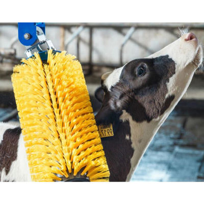 ODM Body Massage Scratch Automatic Cow Brush Swing For Farm